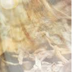 Clearwood® (N° CAS 1450625-49-6 // 84238-39-1)​