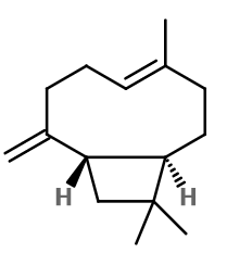 Beta-Caryophyllene (CAS N° 87-44-5)​