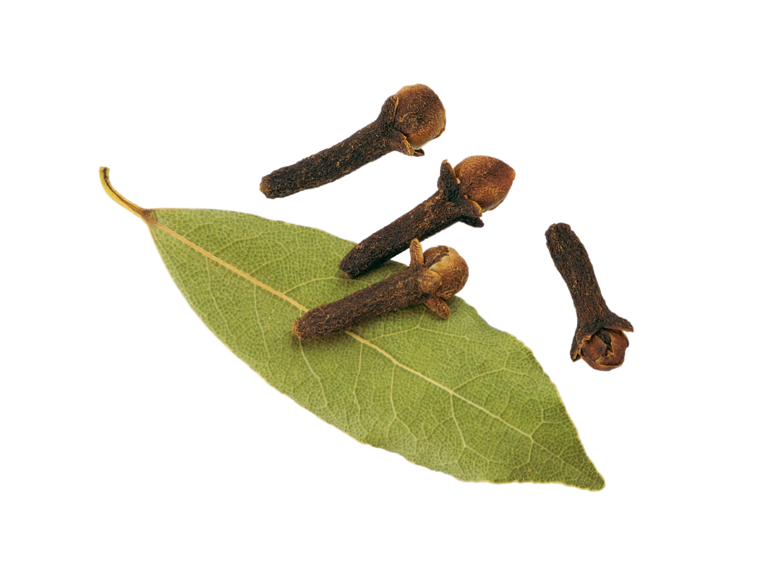 Clove Leaf EO (CAS N° 8000-34-8)