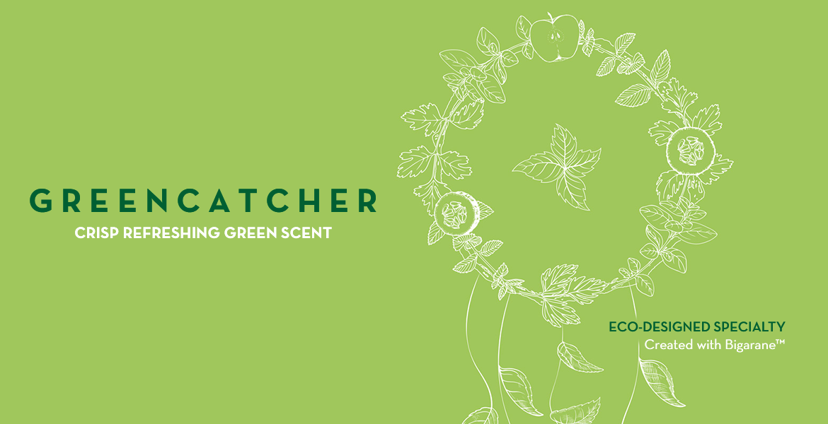 Greencatcher (N° CAS BASE)​