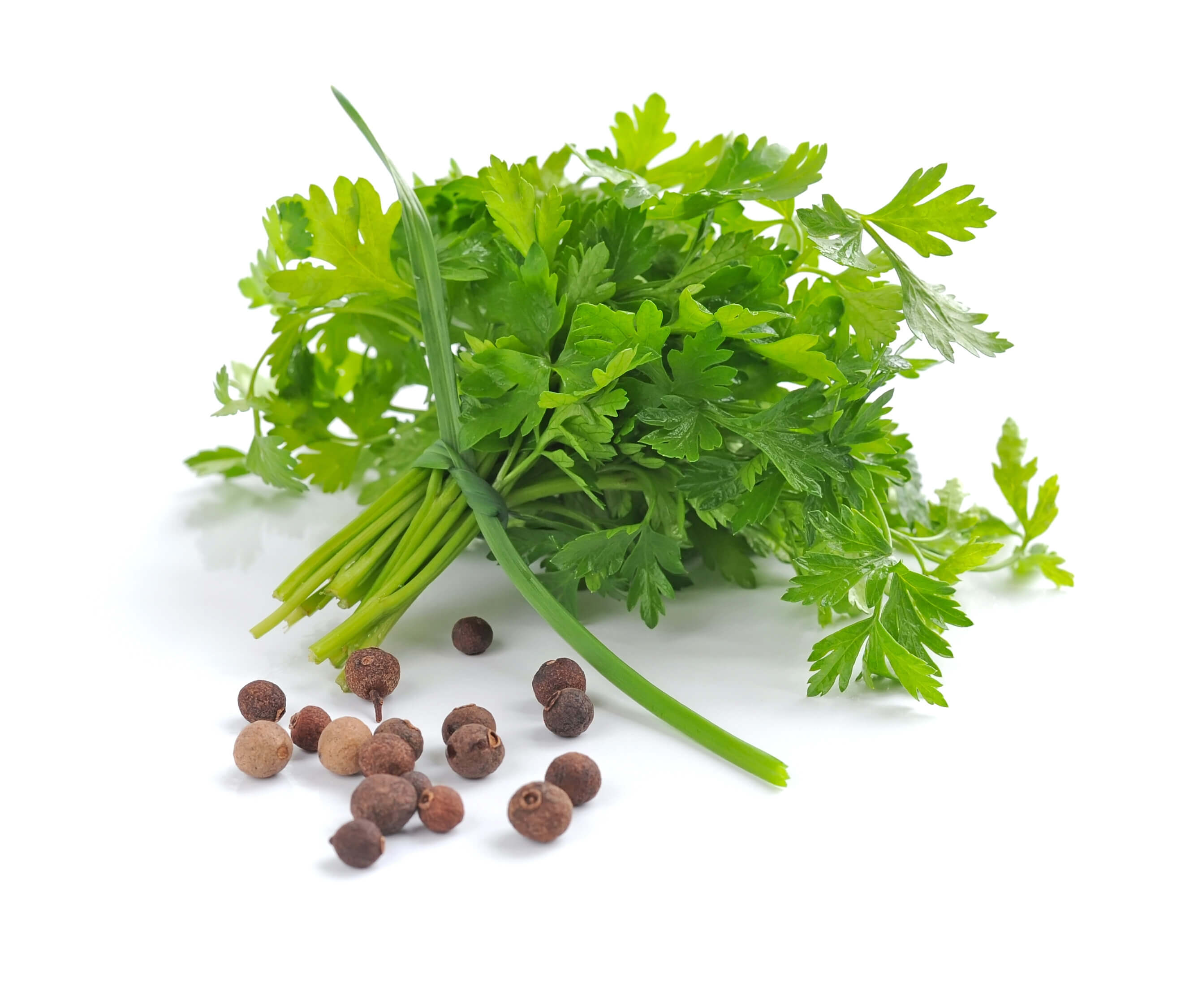 parsley seeds